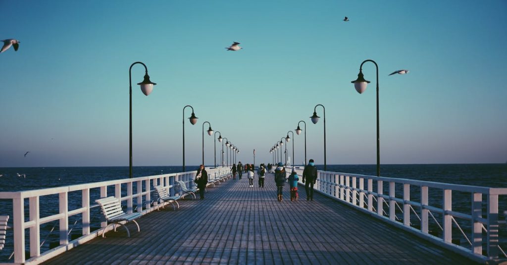 NBP: Prezes NBP, Profesor Adam Glapiński został członkiem Akademii Kopernikańskiej (komunikat)